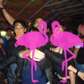 Noche Latina 2011-Playa El Flamingo (30).JPG
