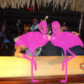 Noche Latina 2011-Playa El Flamingo (27).JPG