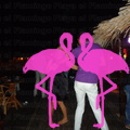 Noche Latina 2011-Playa El Flamingo (29).JPG