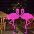Noche Latina 2011-Playa El Flamingo (40).JPG