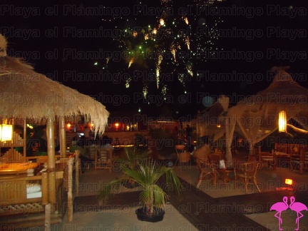 Noche Latina 2011-Playa El Flamingo (40)