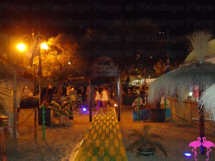 Noche Latina 2011-Playa El Flamingo (39)