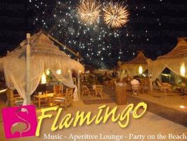 Noche Latina 2011-Playa El Flamingo (41)