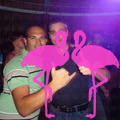 Noche Latina 2011-Playa El Flamingo (34)