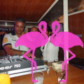 Noche Latina 2011-Playa El Flamingo (43)