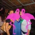 Noche Latina 2011-Playa El Flamingo (49)