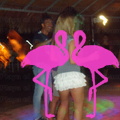 Noche Latina 2011-Playa El Flamingo (54)