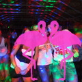 Noche Latina 2011-Playa El Flamingo (52).JPG