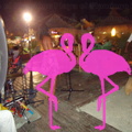 Noche Latina 2011-Playa El Flamingo (53)