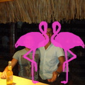 Noche Latina 2011-Playa El Flamingo (57)