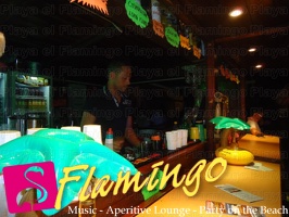 Noche Latina 2011-Playa El Flamingo (58)