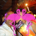 Noche Latina 2011-Playa El Flamingo (61).JPG