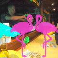Noche Latina 2011-Playa El Flamingo (59)
