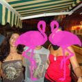 Noche Latina 2011-Playa El Flamingo (60).JPG