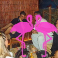 Noche Latina 2011-Playa El Flamingo (66)