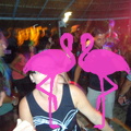 Noche Latina 2011-Playa El Flamingo (69).JPG