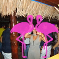Noche Latina 2011-Playa El Flamingo (68)