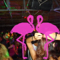 Noche Latina 2011-Playa El Flamingo (71)