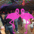 Noche Latina 2011-Playa El Flamingo (72)