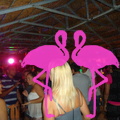 Noche Latina 2011-Playa El Flamingo (74).JPG