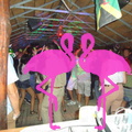 Noche Latina 2011-Playa El Flamingo (82)