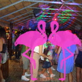 Noche Latina 2011-Playa El Flamingo (76).JPG