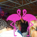 Noche Latina 2011-Playa El Flamingo (79)