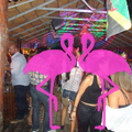Noche Latina 2011-Playa El Flamingo (77).JPG