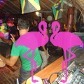 Noche Latina 2011-Playa El Flamingo (87)
