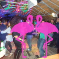 Noche Latina 2011-Playa El Flamingo (86)