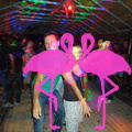 Noche Latina 2011-Playa El Flamingo (89)