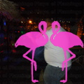 Noche Latina 2011-Playa El Flamingo (102).JPG