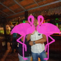 Noche Latina 2011-Playa El Flamingo (101)