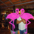 Noche Latina 2011-Playa El Flamingo (100).JPG