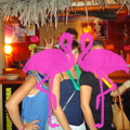 Noche Latina 2011-Playa El Flamingo (103)
