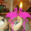 Noche Latina 2011-Playa El Flamingo (105)
