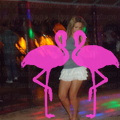 Noche Latina 2011-Playa El Flamingo (113)