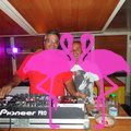 Noche Latina 2011-Playa El Flamingo (110)