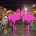 Noche Latina 2011-Playa El Flamingo (108).JPG