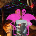 Noche Latina 2011-Playa El Flamingo (115).JPG