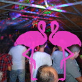 Noche Latina 2011-Playa El Flamingo (116)