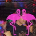 Noche Latina 2011-Playa El Flamingo (119)
