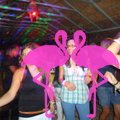 Noche Latina 2011-Playa El Flamingo (121)