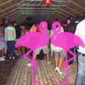 Noche Latina 2011-Playa El Flamingo (125)
