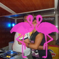 Noche Latina 2011-Playa El Flamingo (128)