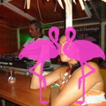 Noche Latina 2011-Playa El Flamingo (129)