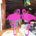 Noche Latina 2011-Playa El Flamingo (131)