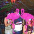 Noche Latina 2011-Playa El Flamingo (134).JPG