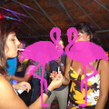 Noche Latina 2011-Playa El Flamingo (133)