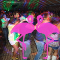Noche Latina 2011-Playa El Flamingo (136)
